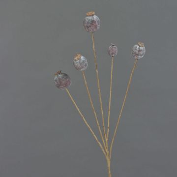 Capsula di papavero artificiale FILOMELA, marrone scuro, 75 cm, Ø 2-3,5 cm