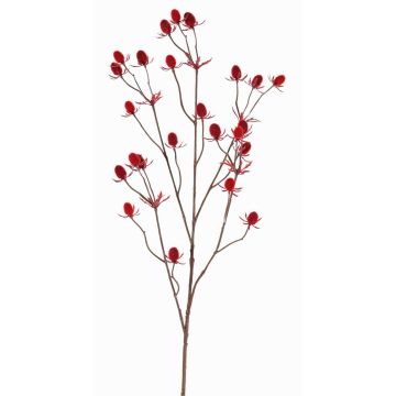 Cardo nobile in plastica LOUKAS, rosso, 70cm, Ø1-1,5cm Cardo nobile in plastica LOUKAS, rosso, 70cm, Ø1-1,5cm