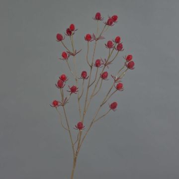 Cardo nobile in plastica LOUKAS, rosso, 70 cm, Ø 1-1,5 cm Cardo nobile in plastica LOUKAS, rosso, 70 cm, Ø 1-1,5 cm