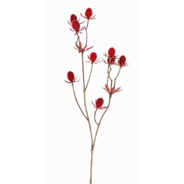 Cardo nobile in plastica LOUKAS, rosso, 45cm, Ø1-1,5cm Cardo nobile in plastica LOUKAS, rosso, 45cm, Ø1-1,5cm