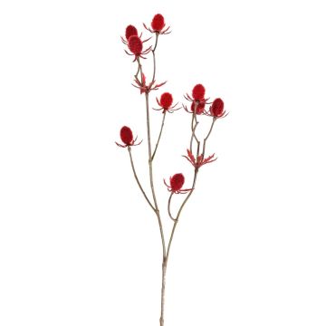 Cardo nobile in plastica LOUKAS, rosso, 45 cm, Ø 1-1,5 cm Cardo nobile in plastica LOUKAS, rosso, 45 cm, Ø 1-1,5 cm