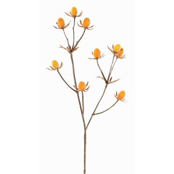 Cardo nobile in plastica LOUKAS, giallo-arancione, 45cm, Ø1-1,5cm Cardo nobile in plastica LOUKAS, giallo-arancione, 45cm, Ø1-1,5cm