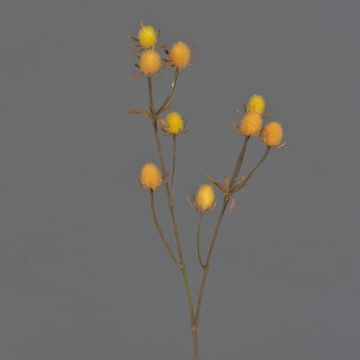 Cardo nobile in plastica LOUKAS, giallo-arancione, 45 cm, Ø 1-1,5 cm Cardo nobile in plastica LOUKAS, giallo-arancione, 45 cm, Ø 1-1,5 cm