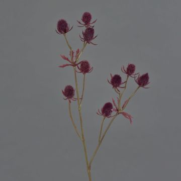Cardo nobile in plastica LOUKAS, rosso bordeaux, 45 cm, Ø 1-1,5 cm Cardo nobile in plastica LOUKAS, rosso bordeaux, 45 cm, Ø 1-1,5 cm