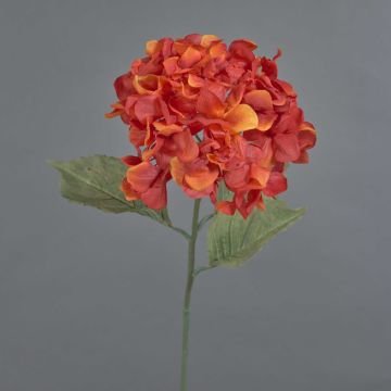 Fiore decorativo ortensia URANIA, effetto secco, arancione-rosso, 75cm, Ø20cm