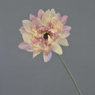 Gerbera artificiale PAMILLA, rosa antico-crema, 65 cm, Ø 12 cm Gerbera artificiale PAMILLA, rosa antico-crema, 65 cm, Ø 12 cm