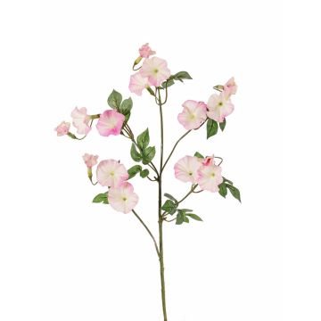 Iperico in plastica IORDANIS, rosa-bianco, 80cm, Ø3-5,5cm Iperico in plastica IORDANIS, rosa-bianco, 80cm, Ø3-5,5cm