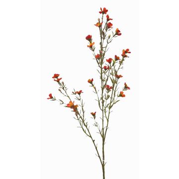 Fiore artificiale in cera NIANG, arancione-rosso, 80cm, Ø1,5-2,5cm Fiore artificiale in cera NIANG, arancione-rosso, 80cm, Ø1,5-2,5cm