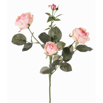 Ramo di rosa decorativo DIAMANTIS, rosa-crema, 75 cm, Ø 5-8 cm Ramo di rosa decorativo DIAMANTIS, rosa-crema, 75 cm, Ø 5-8 cm
