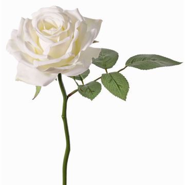 Rosa artificiale NIKOLETA, bianca, 30 cm, Ø 12 cm Rosa artificiale NIKOLETA, bianca, 30 cm, Ø 12 cm