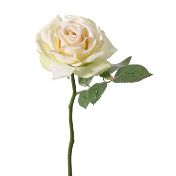 Rosa artificiale NIKOLETA, crema-rosa, 30 cm, Ø 12 cm Rosa artificiale NIKOLETA, crema-rosa, 30 cm, Ø 12 cm