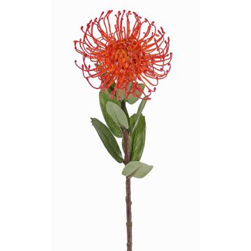 Cuscino porta spilli artificiale Protea BAILY, arancione, 55 cm, Ø 10 cm Cuscino porta spilli artificiale Protea BAILY, arancione, 55 cm, Ø 10 cm