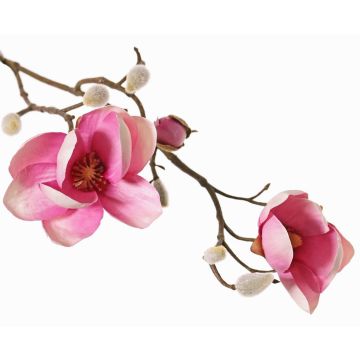 Ramo decorativo di magnolia KOSTAS, rosa-fucsia, 55 cm, Ø 6-8 cm Ramo decorativo di magnolia KOSTAS, rosa-fucsia, 55 cm, Ø 6-8 cm