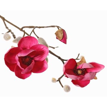 Ramo decorativo di magnolia KOSTAS, rosa shocking, 55 cm, Ø 6-8 cm