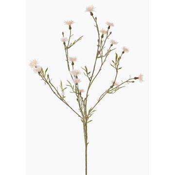 Ramo decorativo di fiordaliso ZENOBIOS, color crema, 80 cm, Ø 3-4 cm