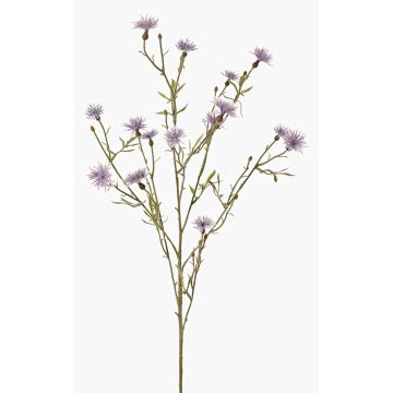Ramo decorativo di fiordaliso ZENOBIOS, blu-lilla, 80 cm, Ø 3-4 cm Ramo decorativo di fiordaliso ZENOBIOS, blu-lilla, 80 cm, Ø 3-4 cm