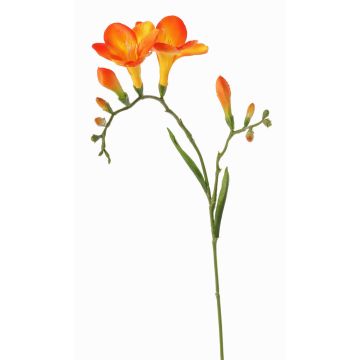 Fiore decorativo Fresia MARUSHA, arancione, 70 cm, Ø 6 cm Fiore decorativo Fresia MARUSHA, arancione, 70 cm, Ø 6 cm