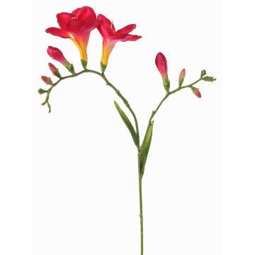 Fiore decorativo Freesia MARUSHA, rosa acceso, 70 cm, Ø 6 cm Fiore decorativo Freesia MARUSHA, rosa acceso, 70 cm, Ø 6 cm