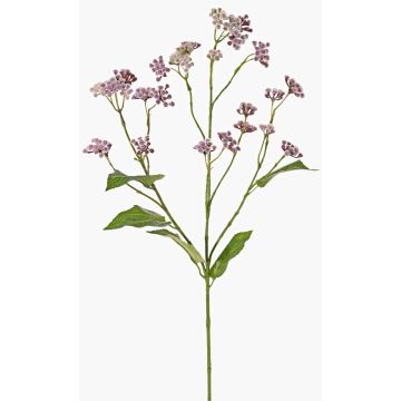 Ramo artificiale di erba acquatica KORALIA, viola, 80 cm, Ø 4-7 cm Ramo artificiale di erba acquatica KORALIA, viola, 80 cm, Ø 4-7 cm