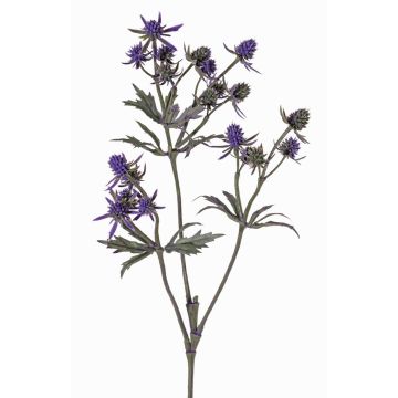Ramo decorativo di cardo nobile KALYPSO, viola scuro, 65 cm, Ø 3-4 cm