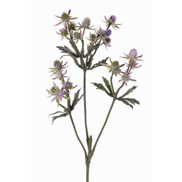 Ramo decorativo di cardo nobile KALYPSO, lilla, 65 cm, Ø 3-4 cm