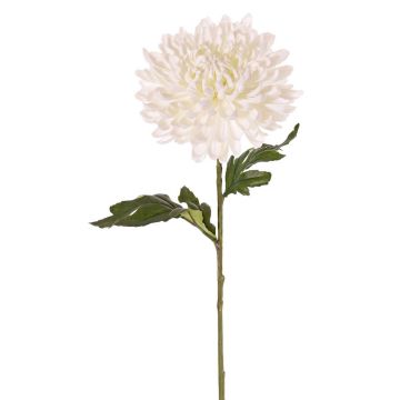 Fiore artificiale, crisantemo DELPHINA, color crema, 65cm, Ø14cm Fiore artificiale, crisantemo DELPHINA, color crema, 65cm, Ø14cm