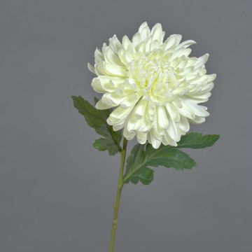 Fiore artificiale, crisantemo DELPHINA, color crema, 65 cm, Ø 14 cm Fiore artificiale, crisantemo DELPHINA, color crema, 65 cm, Ø 14 cm