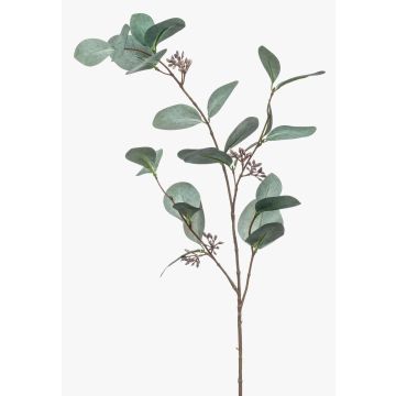 Ramo decorativo di eucalipto MAXEN con frutti, verde-grigio, 75 cm Ramo decorativo di eucalipto MAXEN con frutti, verde-grigio, 75 cm