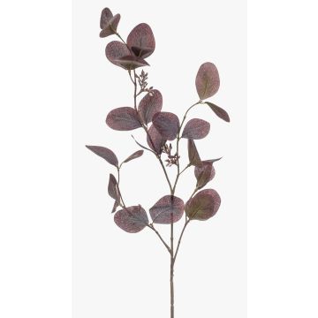 Ramo decorativo di eucalipto MAXEN con frutti, viola-grigio, 75 cm Ramo decorativo di eucalipto MAXEN con frutti, viola-grigio, 75 cm