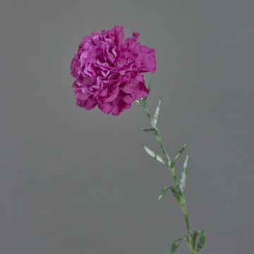 Fiore artificiale garofano NIRUSHA, viola, 65 cm, Ø 9 cm