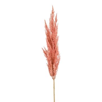 Pianta artificiale erba della pampa a pannocchia SIWON, malva, 90 cm