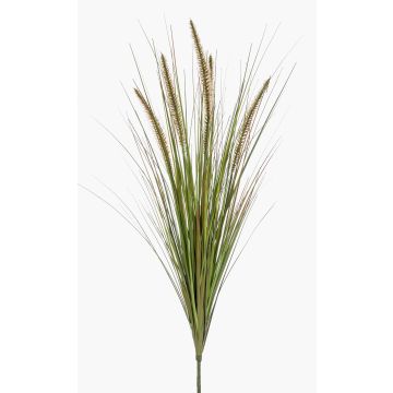 Pianta artificiale Erba a setole piumate YWAIN, pannocchie, stelo, beige-verde, 70 cm Pianta artificiale Erba a setole piumate YWAIN, pannocchie, stelo, beige-verde, 70 cm