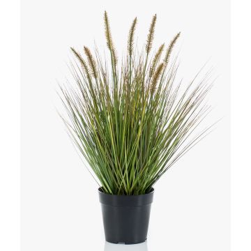 Pianta artificiale, erba a penna YWAIN con pannocchie, beige-verde, 60 cm