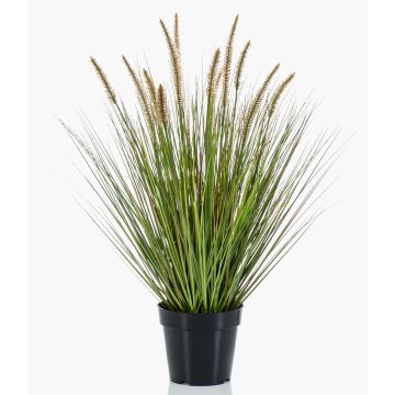 Pianta artificiale, erba a setole piumate YWAIN con pannocchie, beige-verde, 70 cm