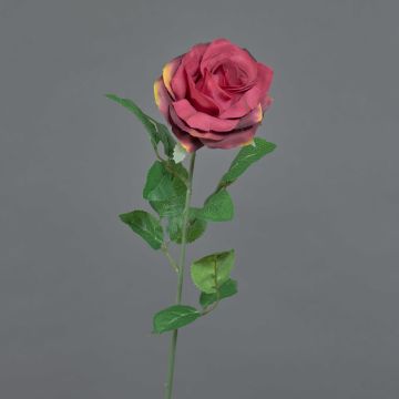 Rosa artificiale PEZOS, rosso bordeaux, 60 cm, Ø 10 cm Rosa artificiale PEZOS, rosso bordeaux, 60 cm, Ø 10 cm