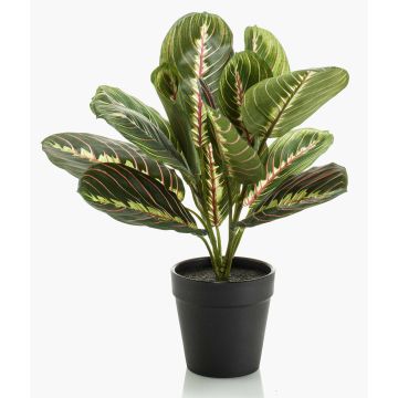 Pianta artificiale Situla, verde-rosso, 30 cm