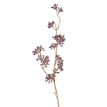 Ramo di eucalipto artificiale SOHA con frutti, marrone, 60 cm Ramo di eucalipto artificiale SOHA con frutti, marrone, 60 cm