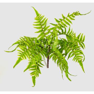 Felce alla cannella in schiuma sintetica VIRGINS su stelo, verde, 30 cm, Ø 40 cm Felce alla cannella in schiuma sintetica VIRGINS su stelo, verde, 30 cm, Ø 40 cm