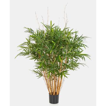 Bambù decorativo AFONSO, tronchi naturali, 125 cm Bambù decorativo AFONSO, tronchi naturali, 125 cm