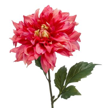 Fiore artificiale dalia NATSU, rosa-fucsia, 60 cm, Ø 17 cm
