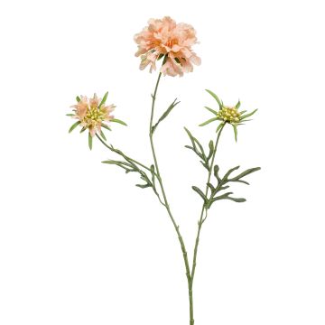 Ramo artificiale di scabiosa MARUA, color pesca, 80 cm Ramo artificiale di scabiosa MARUA, color pesca, 80 cm