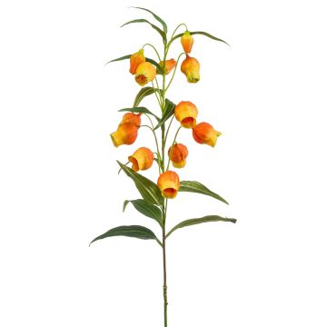 Fiore artificiale grande giglio lanterna NIZAR, arancione-verde, 100 cm, Ø 2,5-3,5 cm Fiore artificiale grande giglio lanterna NIZAR, arancione-verde, 100 cm, Ø 2,5-3,5 cm