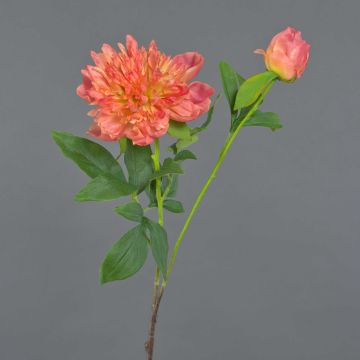 Peonia artificiale BADIS, corallo, 75 cm, Ø 13 cm Peonia artificiale BADIS, corallo, 75 cm, Ø 13 cm