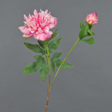 Peonia artificiale BADIS, rosa, 75 cm, Ø 13 cm Peonia artificiale BADIS, rosa, 75 cm, Ø 13 cm