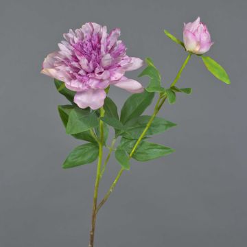 Peonia artificiale BADIS, viola, 75 cm, Ø 13 cm Peonia artificiale BADIS, viola, 75 cm, Ø 13 cm