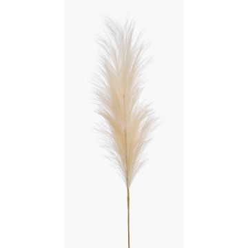 Pianta artificiale, erba della pampa a pannocchia AMATSIA, color crema, 115 cm Pianta artificiale, erba della pampa a pannocchia AMATSIA, color crema, 115 cm