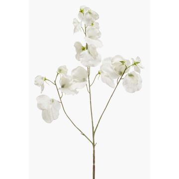 Fiore decorativo artificiale di pisello odoroso KANZI, bianco, 75 cm, Ø 4-7 cm Fiore decorativo artificiale di pisello odoroso KANZI, bianco, 75 cm, Ø 4-7 cm
