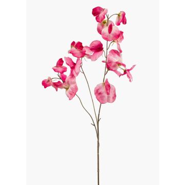 Fiore decorativo artificiale di pisello odoroso KANZI, rosa-crema, 75 cm, Ø 4-7 cm