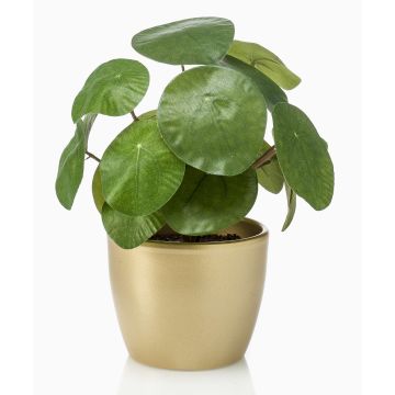 Piante grasse artificiali "pianta delle monete" SYBIL in vaso di ceramica dorato, verde, 20 cm Piante grasse artificiali "pianta delle monete" SYBIL in vaso di ceramica dorato, verde, 20 cm