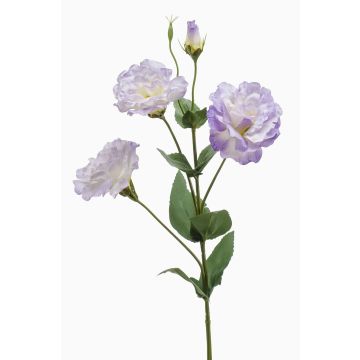 Fiore artificiale Lisianthus JENO, lilla chiaro-crema, 65 cm, Ø 7-9 cm Fiore artificiale Lisianthus JENO, lilla chiaro-crema, 65 cm, Ø 7-9 cm